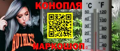 дживик Обнинск