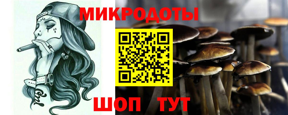 Галлюциногенные грибы Cubensis  Вход с VPN  Пенза 